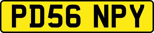 PD56NPY