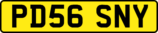 PD56SNY