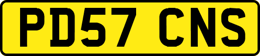 PD57CNS