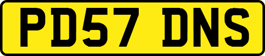 PD57DNS