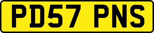 PD57PNS