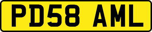 PD58AML