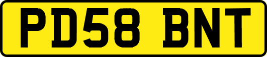 PD58BNT