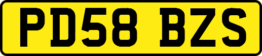 PD58BZS