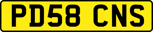 PD58CNS