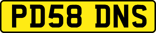 PD58DNS