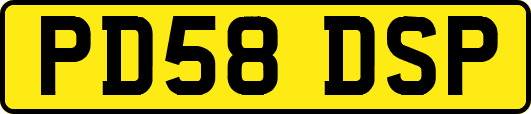 PD58DSP