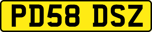 PD58DSZ