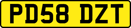 PD58DZT