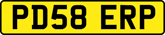 PD58ERP