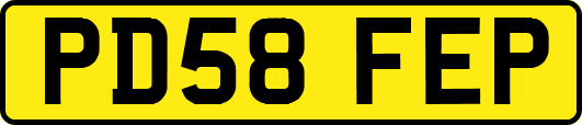 PD58FEP