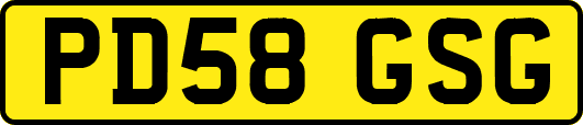 PD58GSG