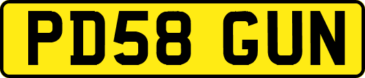 PD58GUN