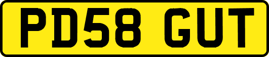 PD58GUT