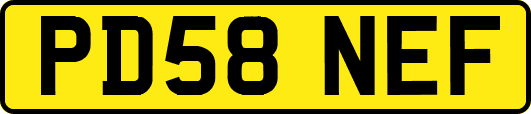 PD58NEF