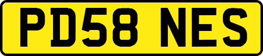 PD58NES