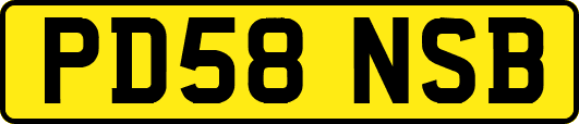 PD58NSB
