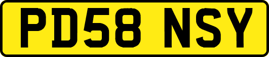 PD58NSY