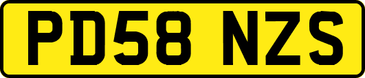 PD58NZS