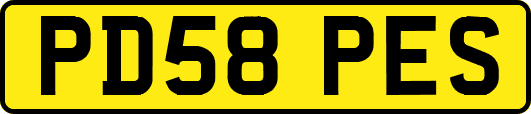 PD58PES