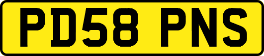 PD58PNS