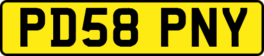PD58PNY