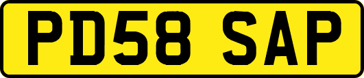 PD58SAP