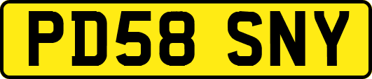 PD58SNY