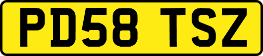 PD58TSZ