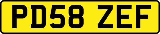 PD58ZEF