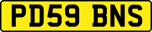 PD59BNS