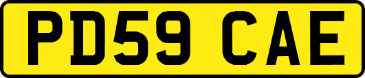 PD59CAE