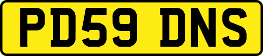 PD59DNS