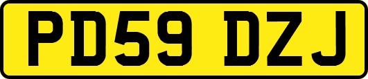 PD59DZJ