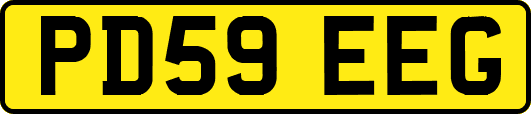 PD59EEG