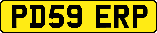 PD59ERP