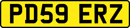 PD59ERZ