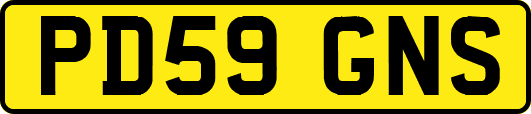 PD59GNS
