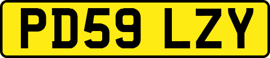PD59LZY