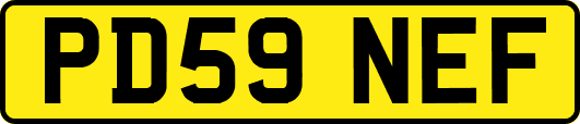 PD59NEF