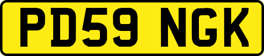 PD59NGK