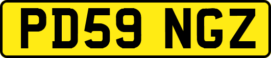 PD59NGZ