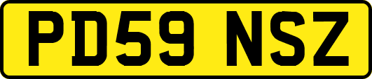 PD59NSZ