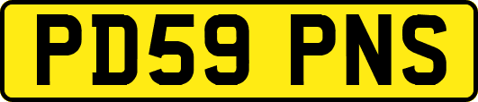 PD59PNS