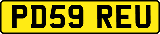 PD59REU