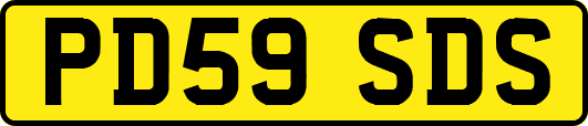 PD59SDS