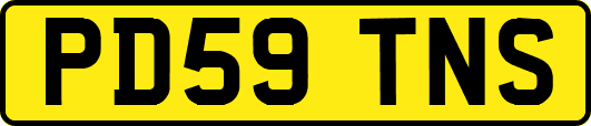PD59TNS