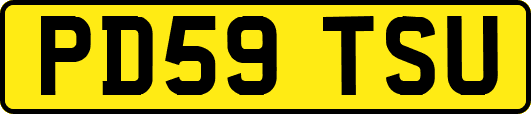 PD59TSU