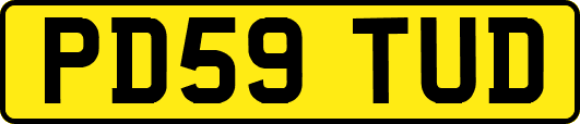 PD59TUD