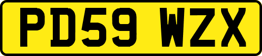 PD59WZX
